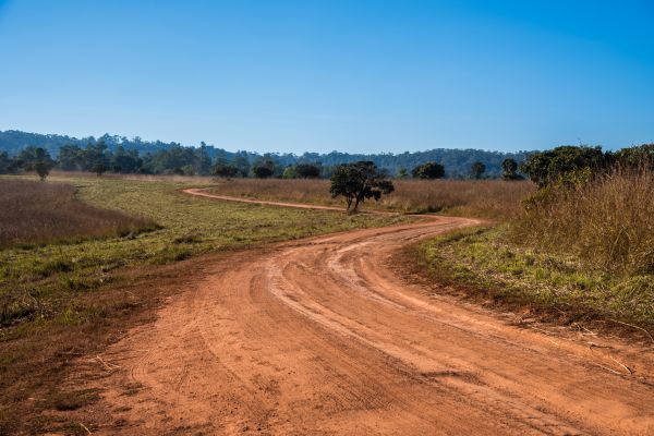 Dirt Driveway Repair in Spring Hill