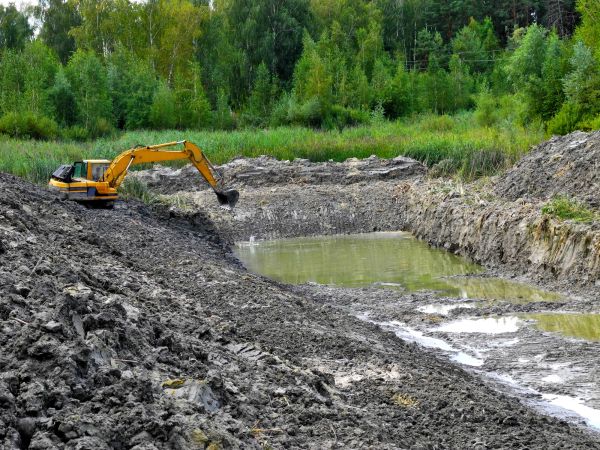 Cost of Fish Pond Digging in Spring Hill
