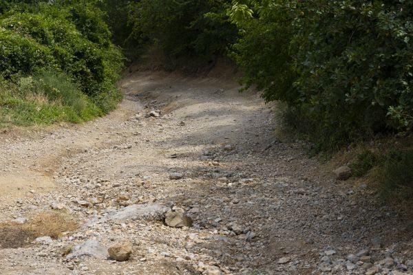 Cost of Gravel Road Pothole Repair in Spring Hill