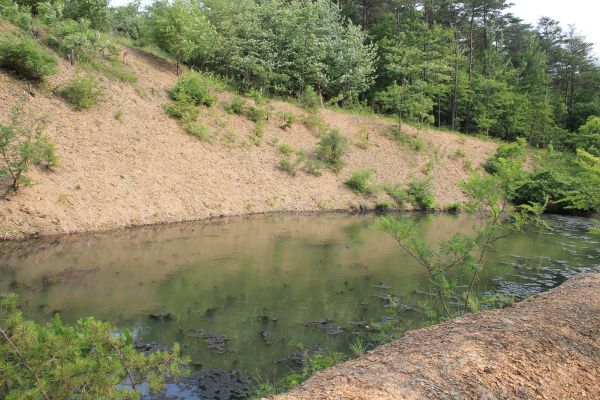 Cost of Pond Erosion Repair in Spring Hill