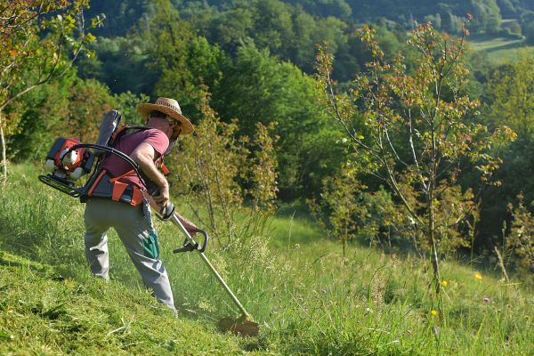 Cost of Slope Trimming in Spring Hill